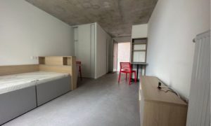 Studio résidence patio brazza